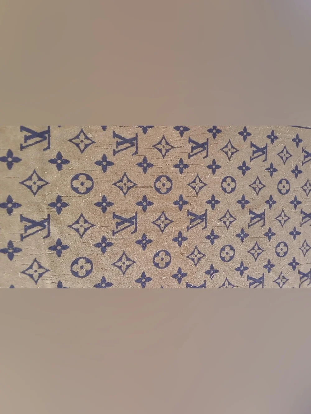 Louis Vuitton MonogramCotton Towel Reversible